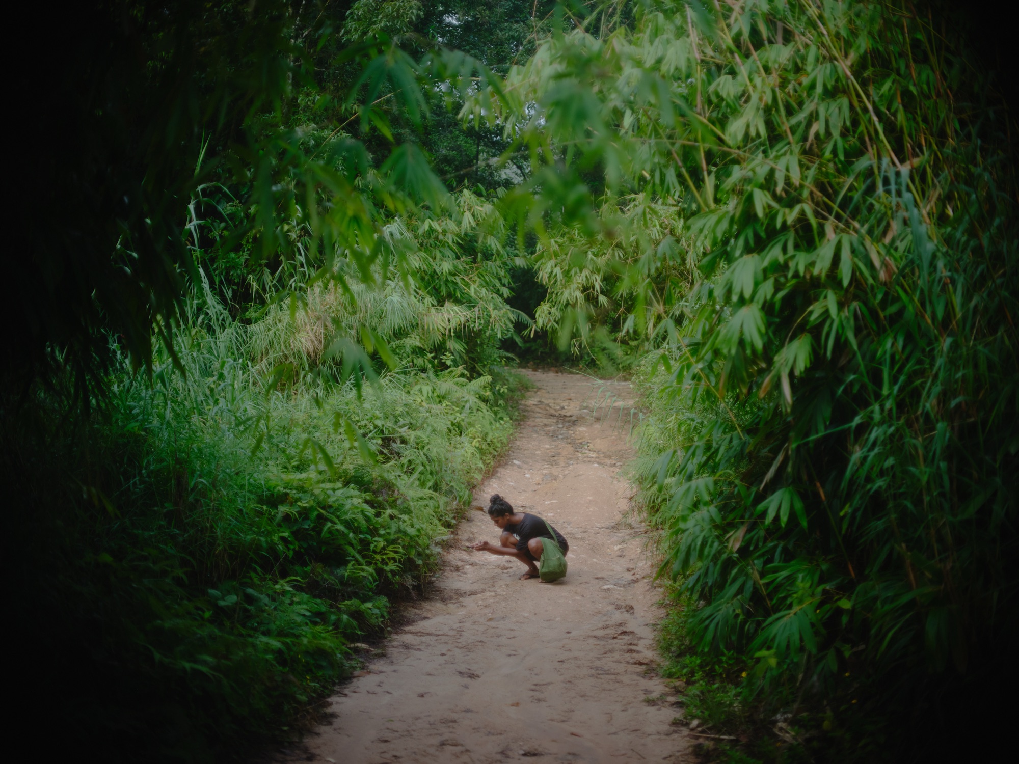 Photographed at the border of Sinharaja Rainforest during the aforementioned residency.